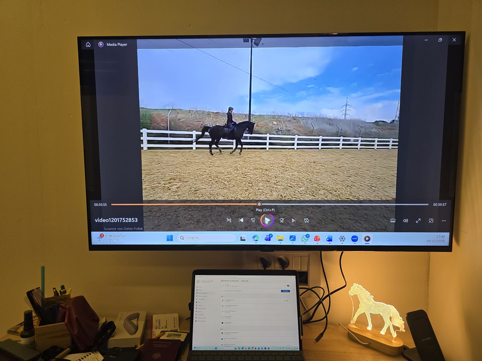 Susanne von Dietze Virtual Online Live Lessons