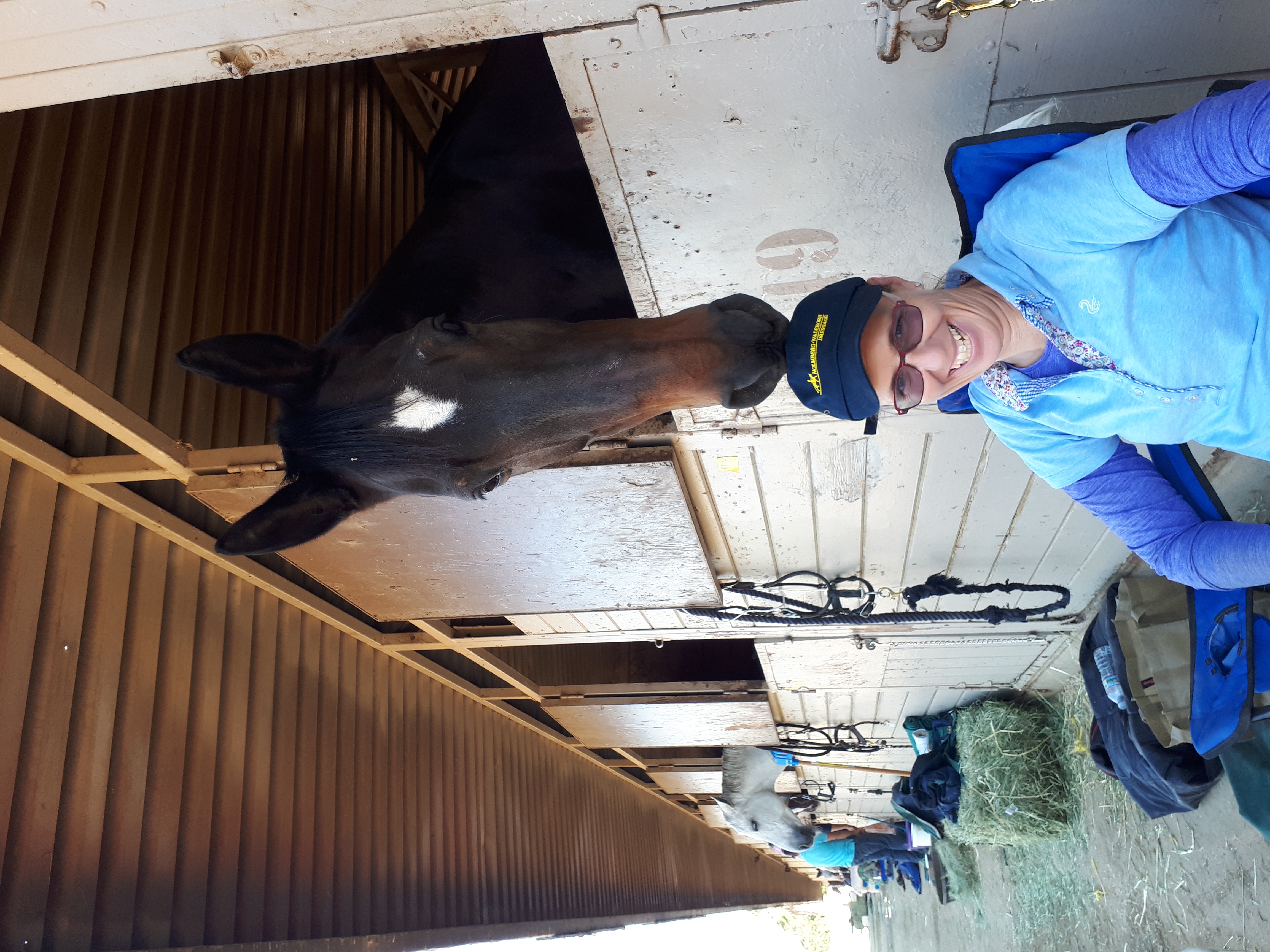 Susanne von Dietze clinic, biomechanics, equine, horse