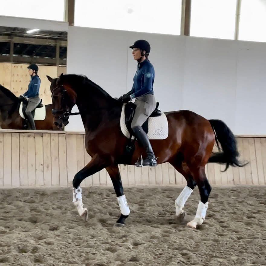 Susanne von Dietze, horse, equine, dressage, passage, piaffe