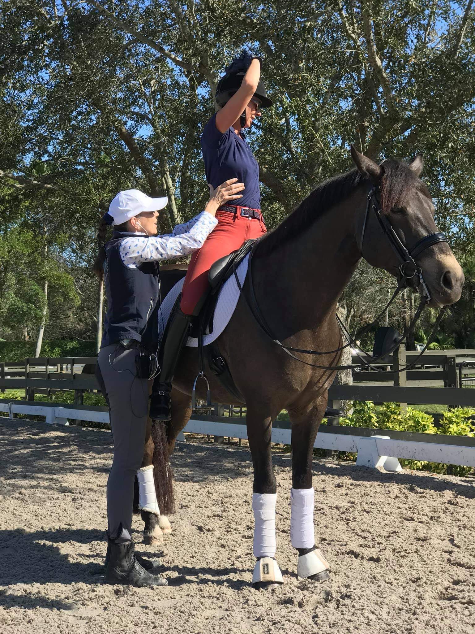 Susanne von Dietze, horse, equine, dressage, passage, piaffe