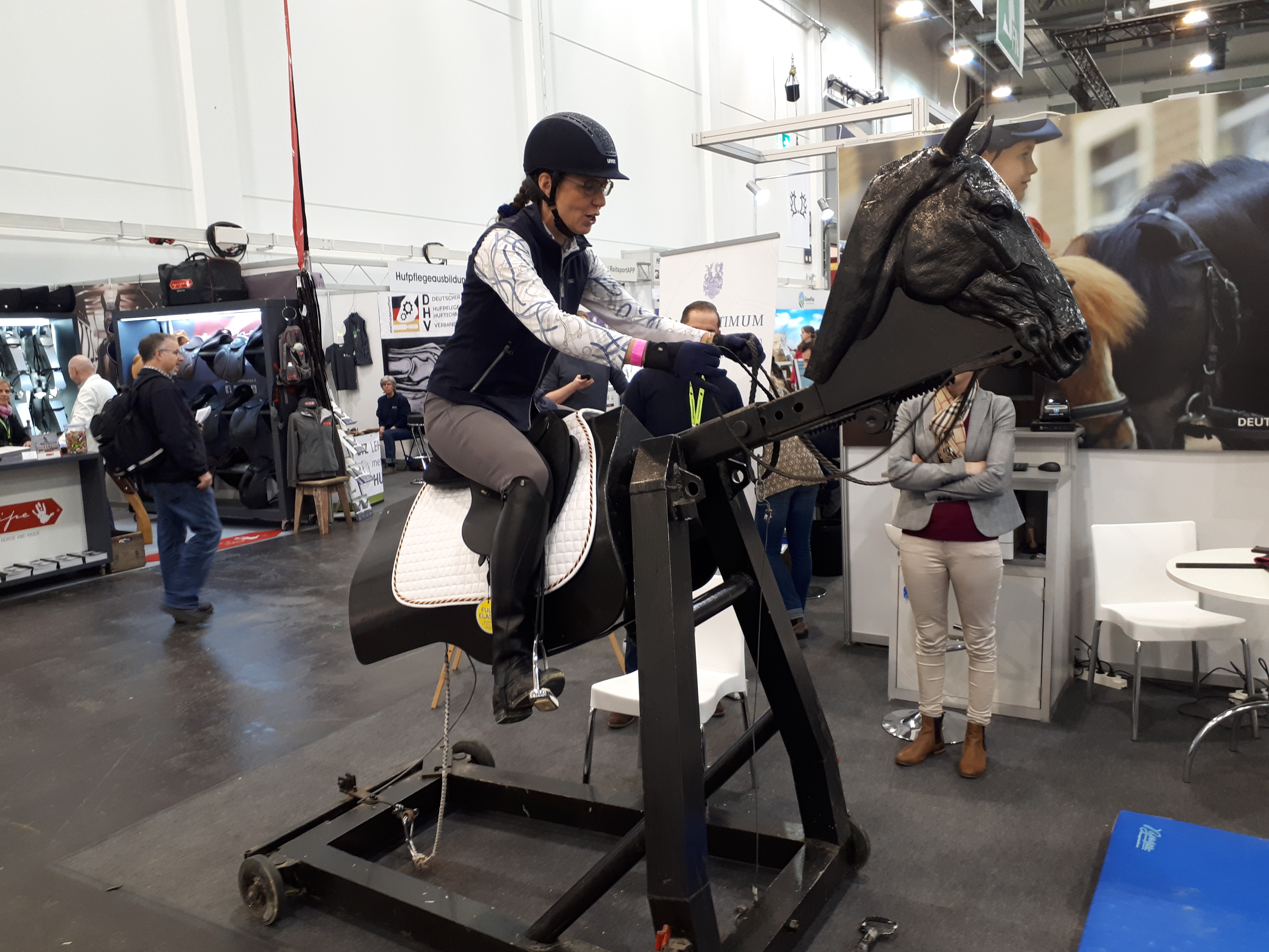 Susanne von Dietze clinic, biomechanics, equine, horse