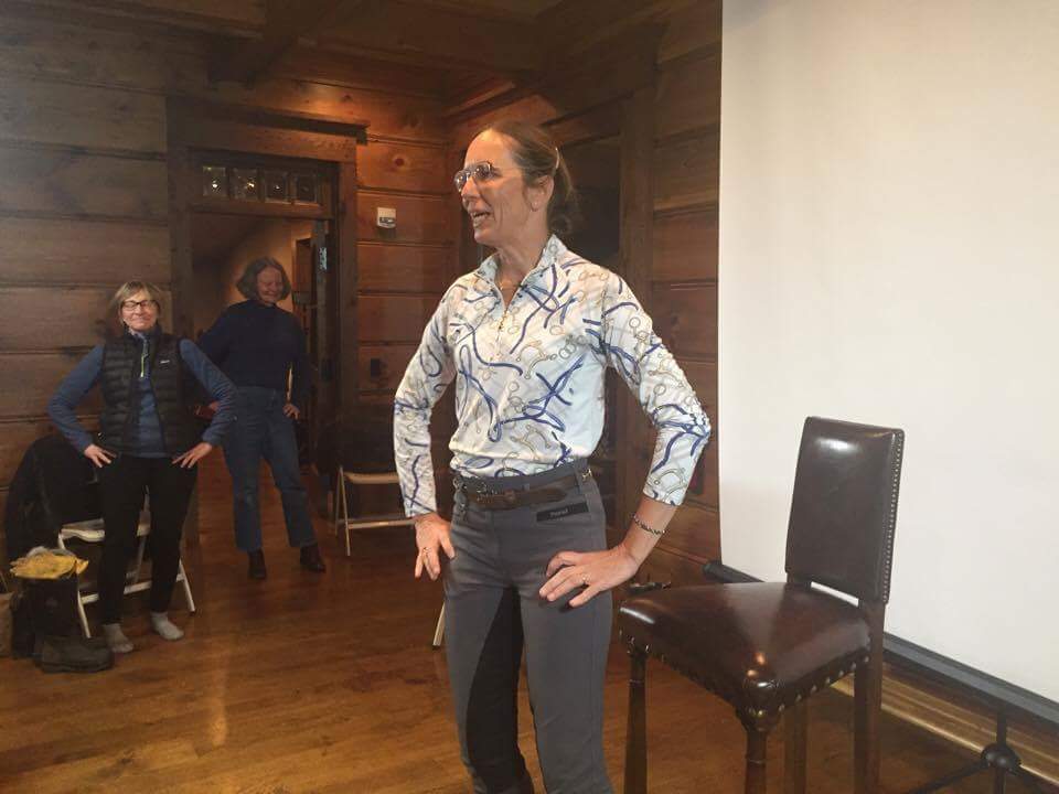 Susanne von Dietze clinic, biomechanics, equine, horse