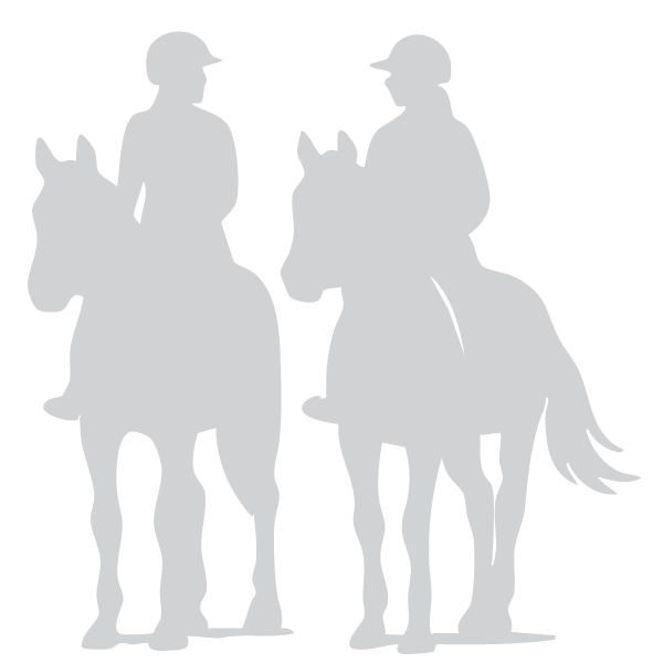 Susanne von Dietze clinic, biomechanics, equine, horse