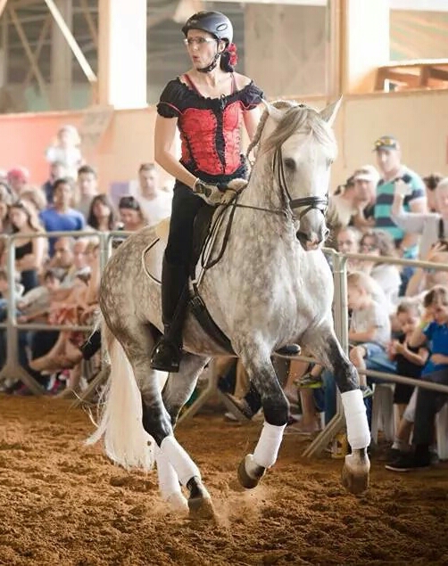 Susanne von Dietze, horse, equine, dressage, passage, piaffe